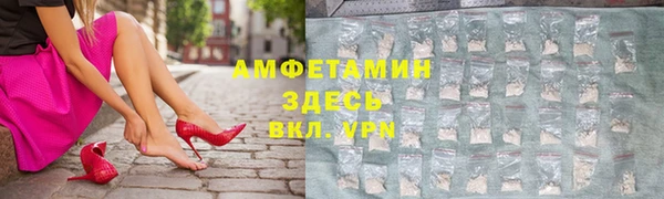 прущие грибы Ельня
