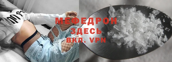 прущие грибы Ельня