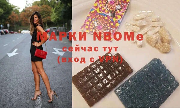 прущие грибы Ельня