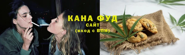 прущие грибы Ельня