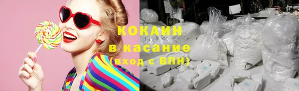 прущие грибы Ельня