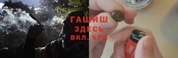 прущие грибы Ельня