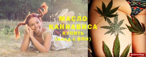 прущие грибы Ельня