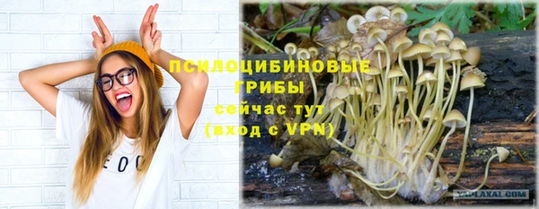 прущие грибы Ельня