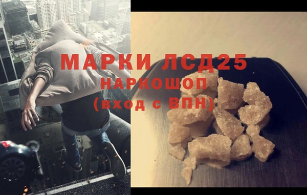 прущие грибы Ельня