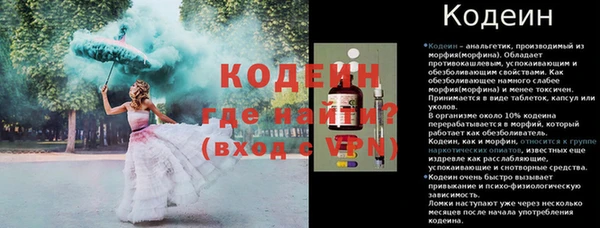 прущие грибы Ельня