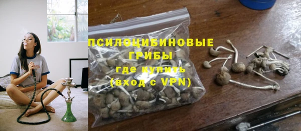 apvp Елизово