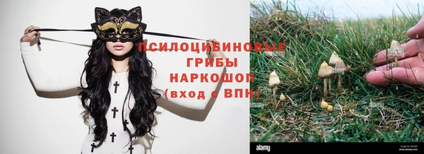 apvp Елизово