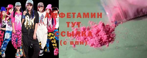 прущие грибы Ельня