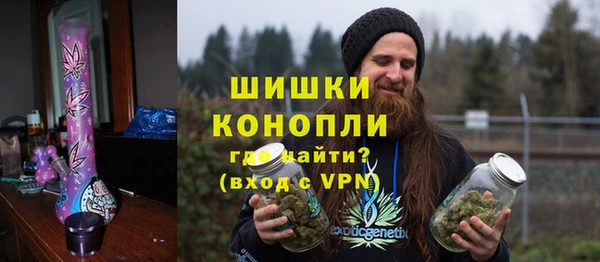 прущие грибы Ельня