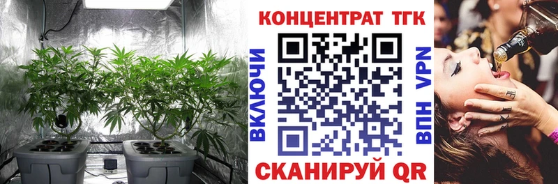 Дистиллят ТГК Wax  Купить закладки  Дмитровск 